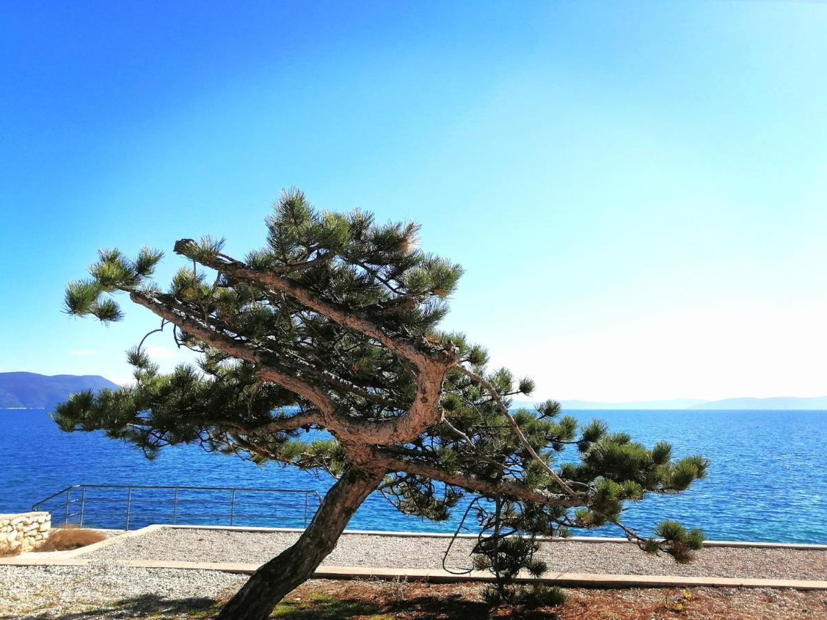 Apartment Suzie Q - Intermezzo With Sea View غاباس المظهر الخارجي الصورة